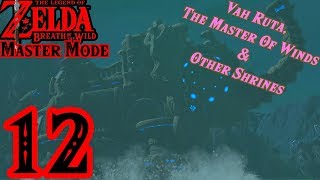 Zelda BotW MASTER MODE 12  Vah Ruta amp Nearby Shrines [upl. by Fons]