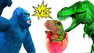 Dinosaurios vs gorila huevos lucha  Dibujos animados de dinosaurios para niños  Película de dinosa [upl. by Restivo]