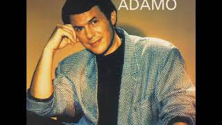 Salvatore Adamo  Mes plus grands succes 1981 [upl. by Nosae]