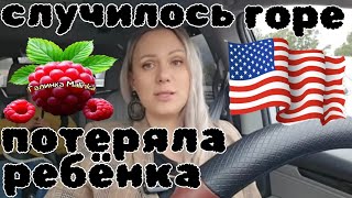 Лиса в Америке Случилось горе Потеряла ребёнка Обзор Funny 4 Big Big Family Жизнь в США [upl. by Ynamad]