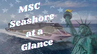 MSC Seashore at a Glance cruisevloggers cruisetime cruiseline cruiselovers itscruiseday [upl. by Pippy]