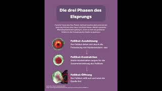 Erster Eisprung in Echtzeit gefilmt [upl. by Pellet]