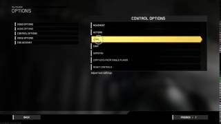 How to Enable Mouse Flight Inversion In Call of Duty Infinite Warfare [upl. by Nolla]