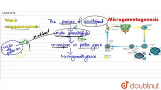 What is microgametogenesis [upl. by Cleve]