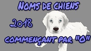 🐕🐶 Idées noms de chiens 2018 commençant par quotOquot 🐕🐶 [upl. by Aissatsana]