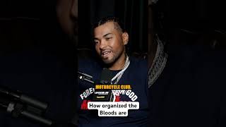 How organized the Bloods are [upl. by Kee]