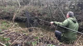 Hour fishing on the Trent StokeOnTrent [upl. by Intyre418]