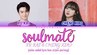 Xu Kai amp Cheng Xiao Soulmate  Falling Into Your Smile color coded lyric han zipin yineng [upl. by Ecaidnac805]