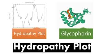 Hydropathy Plot  Introduction Transmembrane Proteins Hydropathy Index [upl. by Ellimaj115]