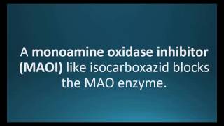 monoamine oxidase inhibitor Pharmcabulary for Memorizing Pharmacology Chapter 5 Neuro Flashcard [upl. by Allisirp]