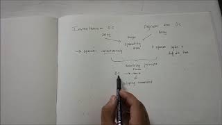 INSTANTANEOUS vs DEFINITE TIME OVER CURRENT RELAY IMPORTANT DIFFERENCES [upl. by Intyre796]