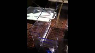 DIY water ionizer [upl. by Nivla]