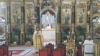 Episcopia GrecoCatolică de Oradea Live Stream [upl. by Anihs101]