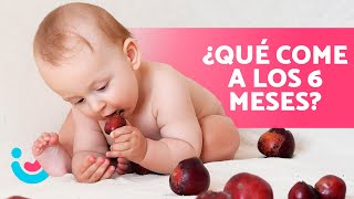 Bebé de 6 meses comiendo plátano  BLW Alimentación Complementaria [upl. by Nyrem425]