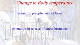 Metabolic response to trauma [upl. by Nashom]