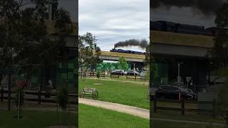 🚂 Steam Train Chuggin down the SkyRail 4K steamtrain train steamengine [upl. by Niwroc]