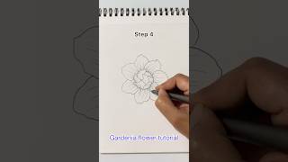 How to draw Gardenia flower step by step tutorial😊 day 57 shortsfeed drawingtutorial flowers [upl. by Neumark934]