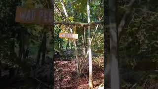 Explore Abandoned City Pahang Bosswan dan Tiger Labu paranormalmalaysia paranormalmistik [upl. by Buff]