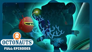 Octonauts  🌊 Sea Whisperers 🐚  Bumper Pack Special  Full Episodes [upl. by Arrahs50]