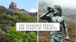 The Guanches People and Native Plants of Tenerife Canary Islands History Medicinal plants [upl. by Lundberg]