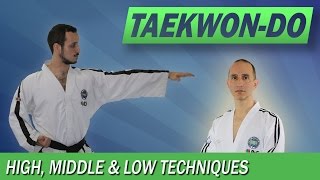 TaekwonDo High Middle amp Low Techniques [upl. by Adnarrim]