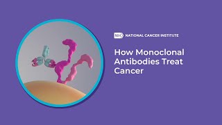 How Monoclonal Antibodies Treat Cancer [upl. by Acirred]