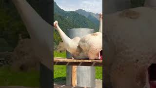 shortvideofood Ostrich Roast Ostrich Cuisine do it yourself food shotrs [upl. by Rombert]