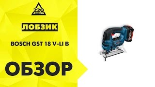 Обзор Лобзик BOSCH GST 18 VLI B [upl. by Morentz343]