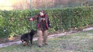 Beauceron  Attrayant Garde de la Vie quotJettaquot [upl. by Anib]