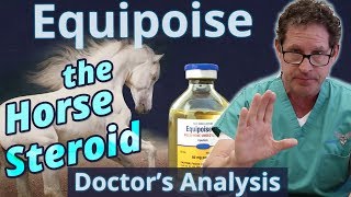 Equipoise the Horse Steroid  Doctors Analysis of Side Effects amp Properties [upl. by Hilleary]