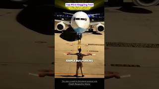 How Planes Park The Marshallers Job Explained facts plane shortsvideo fyp people [upl. by Najtsirk985]