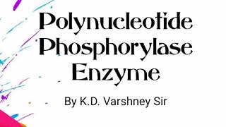 Polynucleotide Phosphorylase enzyme [upl. by Zaob819]