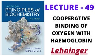 Cooperative Binding Of Oxygen Lecture  49Lehninger biochemistry [upl. by Ahsielat652]