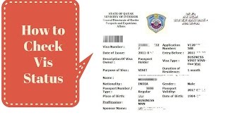 Howto Check Visa Status [upl. by Leverett400]