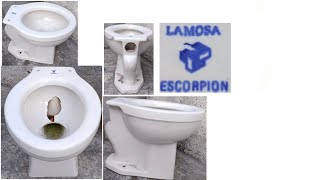 1987 Lamosa Escorpion Toilet Vintage RARE Bucket Flush Test FullHD60FPS [upl. by Ginnifer]