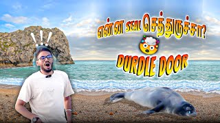 A trip to Durdle Door  Jurassic Coast  Dorset  Seal in Durdle Door  Tamil vlog [upl. by Itirahc304]