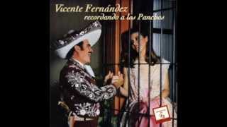 Vicente Fernandez Contigo [upl. by Blondell]