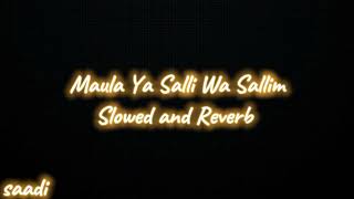 Maula Ya Salli Wa Sallim✨❤️SlowedReverb❤️Use Headphones🎧slowedandreverb meherzain foryou viral [upl. by Luo485]