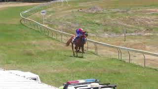 Cooktown 11112023 Race 1 [upl. by Atsok]