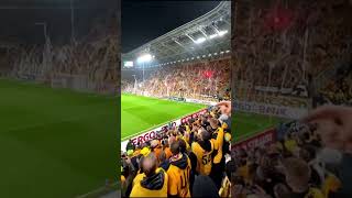 Dynamo Dresden Fans Light Up DFB Pokal Match vs Darmstadt [upl. by Alrac]