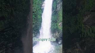 Famous Waterfalls of kalimpong  Changey Falls Kolakham waterfall Kolakham kalimpong shorts yt [upl. by Giesser644]