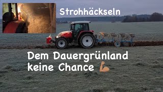 Grünlandumbruch  Strohhäckseln  … [upl. by Sutherlan]