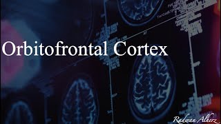 Orbitofrontal Cortex [upl. by Dun]