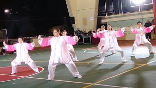 Chenstyle Tai Chi 56 Form 陈氏56式太极拳 [upl. by Zondra]