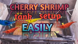 simple cherry shrimp tank setup for begginers [upl. by Elnora]