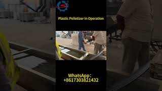 Plastic Pelletizer For PVC Recycling In Operation In Oman [upl. by Rebmit]