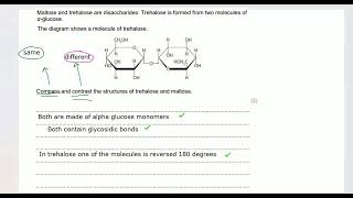 SNAB A Level Biology Carbohydrates [upl. by Miranda]