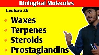 Waxes  Terpenes  Steroids  Cholesterol  Prostaglandins  Lipids Class 11  Class 11 Biology [upl. by Cos99]