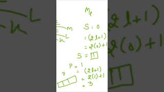 quantum numbers quantumnumbers atomicstructure [upl. by Mike]