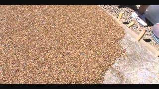 Pebblestone flooring driveway installation [upl. by Burn]